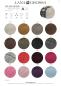 Preview: Cool Wool Melange Farbkarte 2025/1